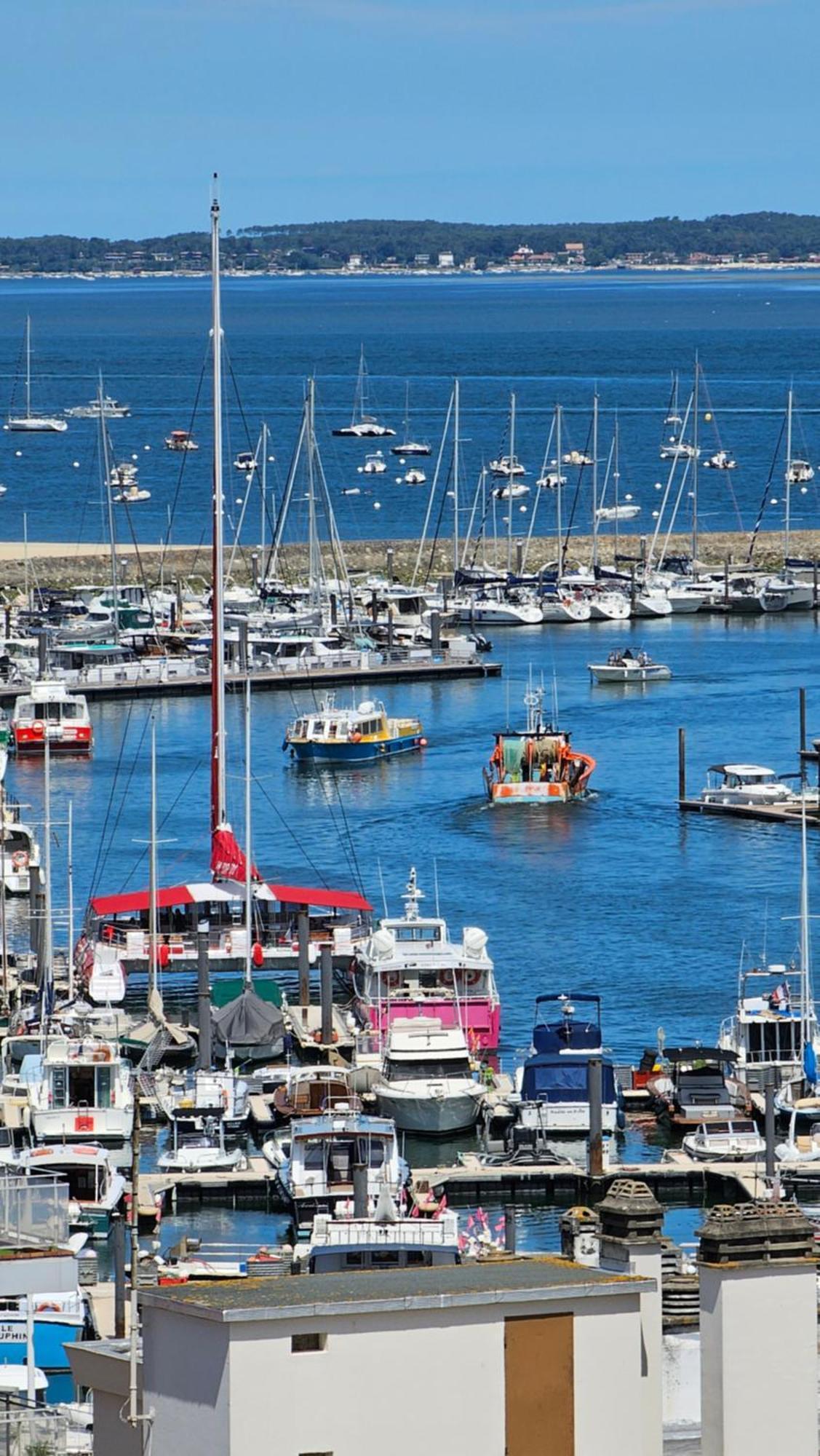 Vue Panoramique Sur Bassin,Piscine Et Terrasse Daire Arcachon Dış mekan fotoğraf