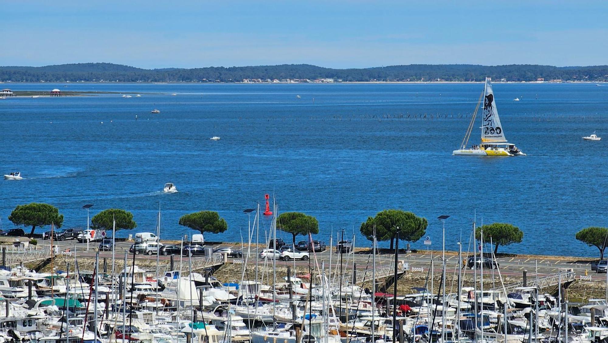 Vue Panoramique Sur Bassin,Piscine Et Terrasse Daire Arcachon Dış mekan fotoğraf